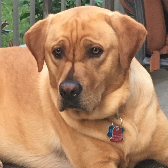 Meet your Posher, Wendy - Picture 1 of 1